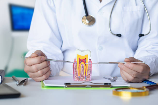 Best Emergency Cosmetic Dentistry in Lockport, NY